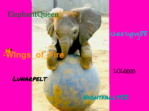 Sign here if you are Against Elephant Hunting!!! rem