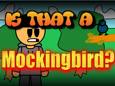 Is That A MOCKINGBIRD?