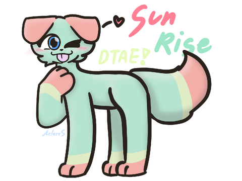 SunRise ~ DTAE