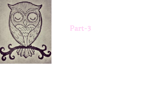 The man and the Owl Part-3
