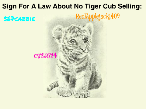 CLICK THIS NOW- SAVE THE TIGERS! remix remix