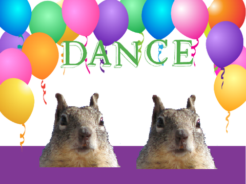Party with Squirrels!☺