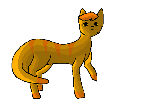 Lionblaze :3