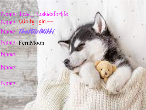 SIGN AND REMIX IF U LOVE HUSKIES remix remix remix