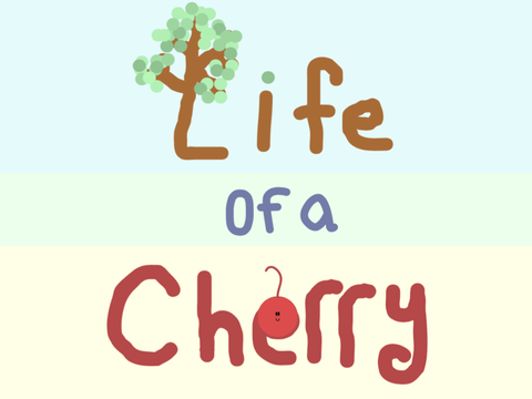 The Life of a Cherry