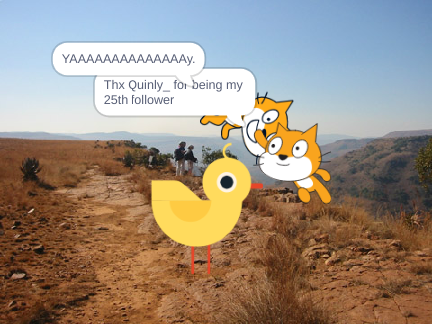 25Th Follower!!!