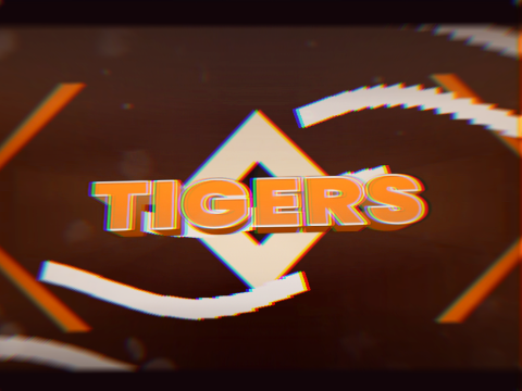 ✧ Intro Entry For TigersMane ✧