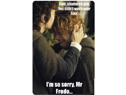 Frodo and Sam Memes!