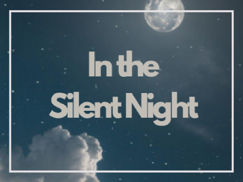 In the Silent Night - poem