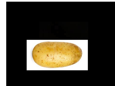 Potato freddy