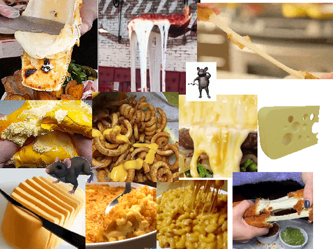 Cheese stimboard