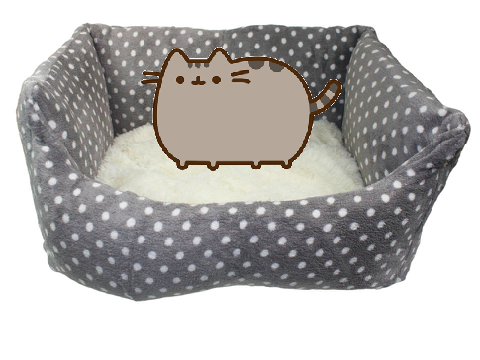 Pusheen Dares.....#2