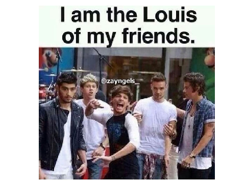 One Direction Memes remix