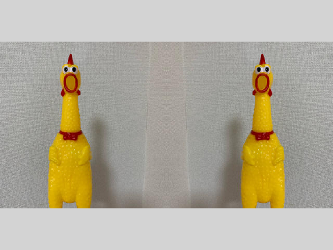 chicken zone