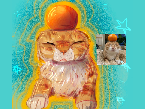 Orange Cat