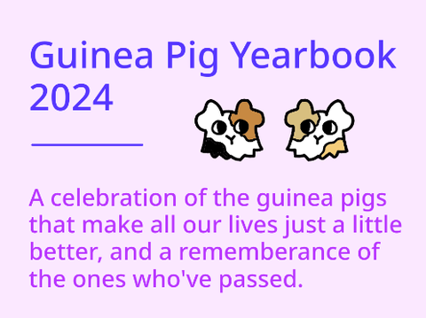 Guinea Pig Yearbook 2024-Ongoing