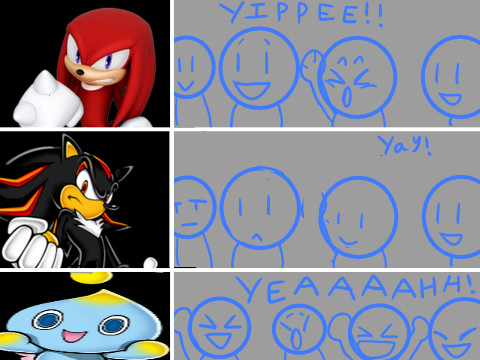 I Went To the Sonic Symphony