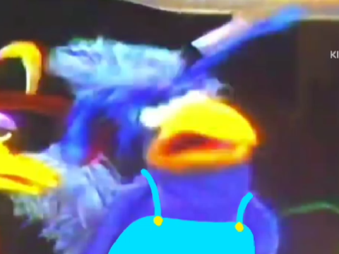 Ohboy Bird