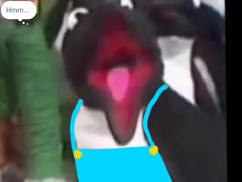 Penguin