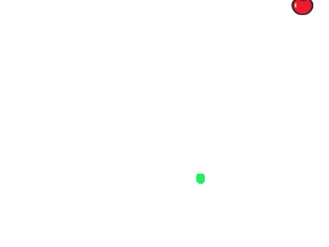 The Snake Game
