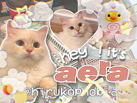 ໒꒱ hbd aera !