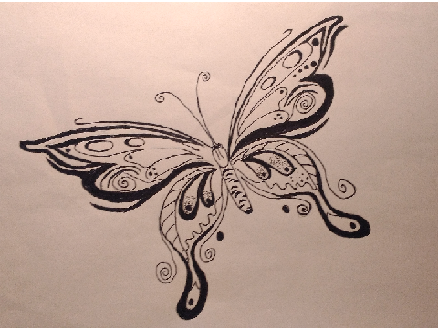 Tiger & butterfly