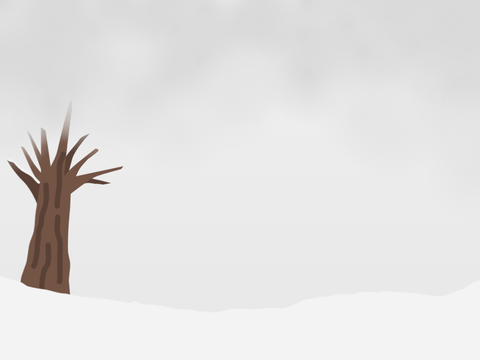 ✽ Snow ✽ 