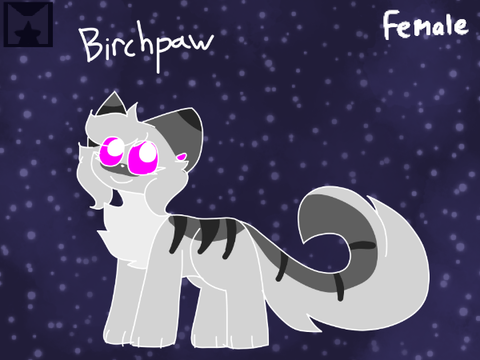 Birchpaw || Toph Cameo