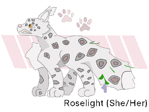 REF FOR RANBOOS STARCLAN CAMEO