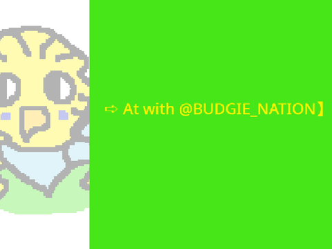 ➪ At with @BUDGIE_NATION】