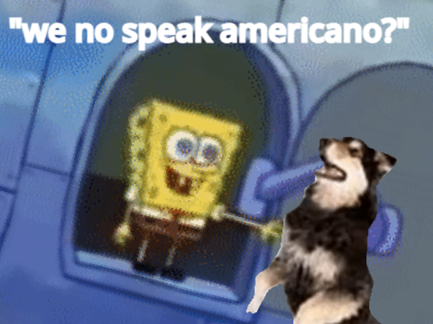 "This Looks Neat, I Wonde-Americano!"
