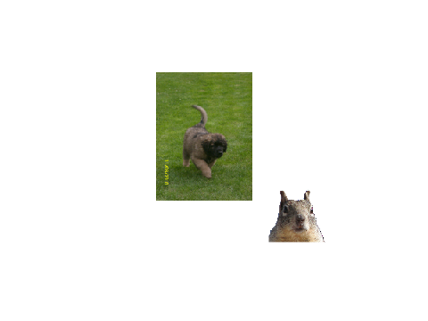 Reality Chase
