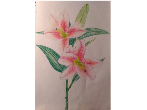Pink flower