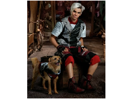 I absolutely love him.  Carlos De Vil