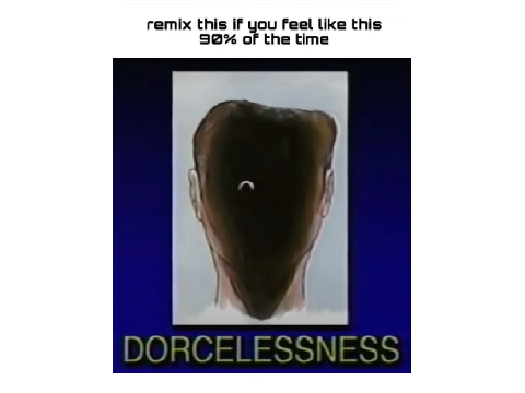 this is WAY TOO TRUE remix