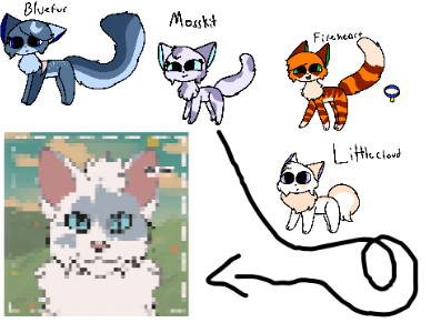 Warrior Cat Designs Transformed! :D