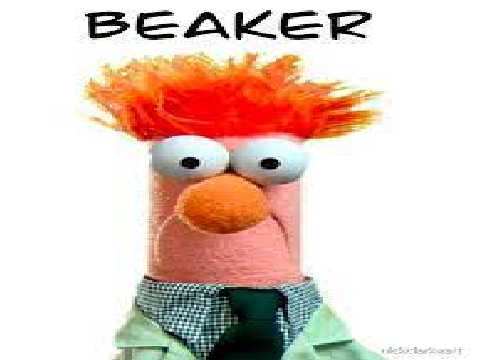 That one muppets character