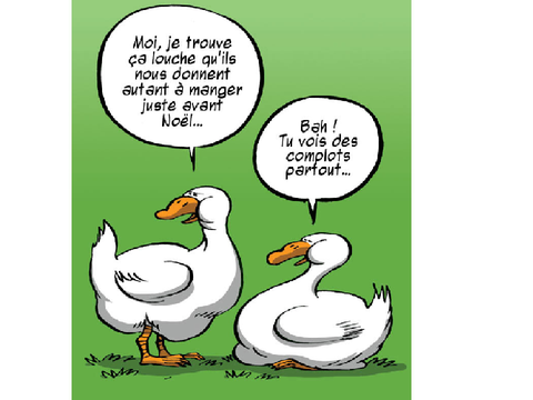 Non au gavage d'oie