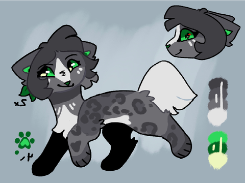 005 ;; star clover cat references 