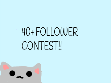 40+ FOLLOWER CONTEST (closed)