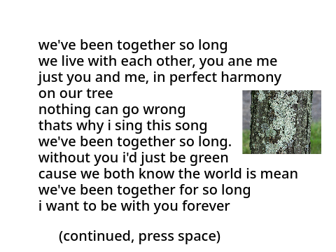 I lichen you (a poem)