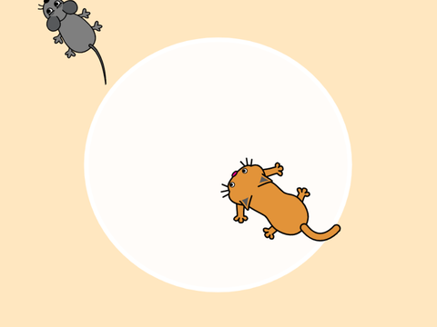 cat and mouse