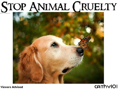 Pledge to Stop Animal Cruelty!!!