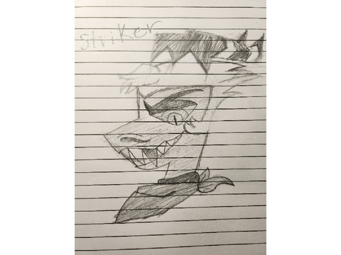 Striker