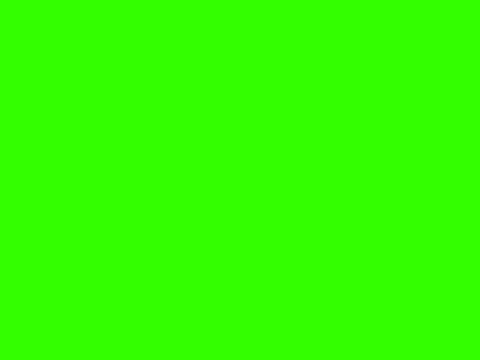 Icon 10 Wrong Answer Animation