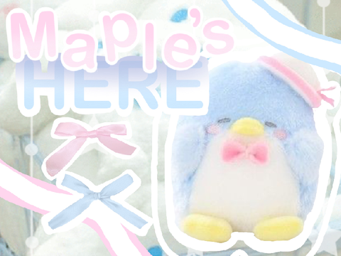 ꒰ bnnr ⸝⸝ contest ↘ entry