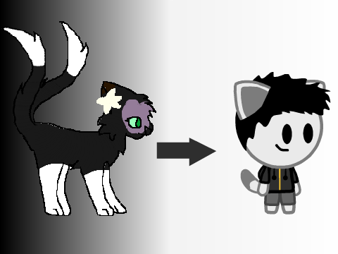 Give me a scratch character and i will catify it remix
