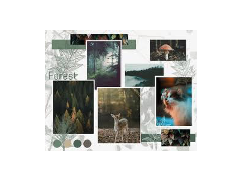Moodboard for DT