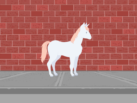 Unicorn and Bunny Animation 