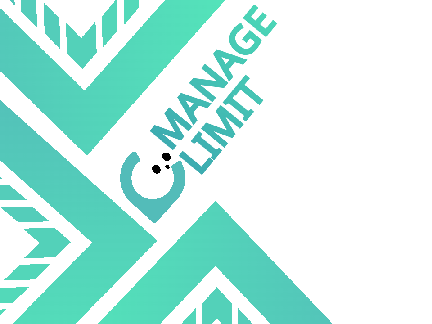 Branding for ManageLimit